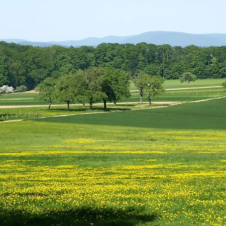 Casa vacanze Du Moulin Uhrwiller
