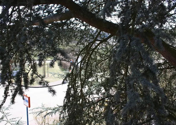 Holiday home Du Moulin