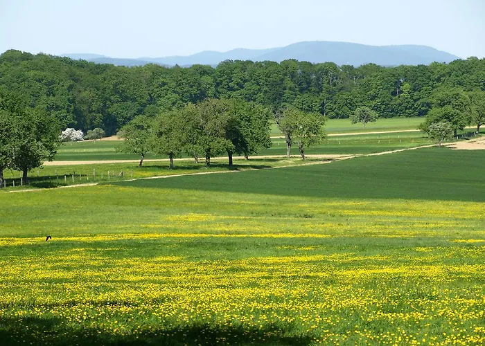 Holiday home Du Moulin Uhrwiller